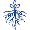 Інокулянти